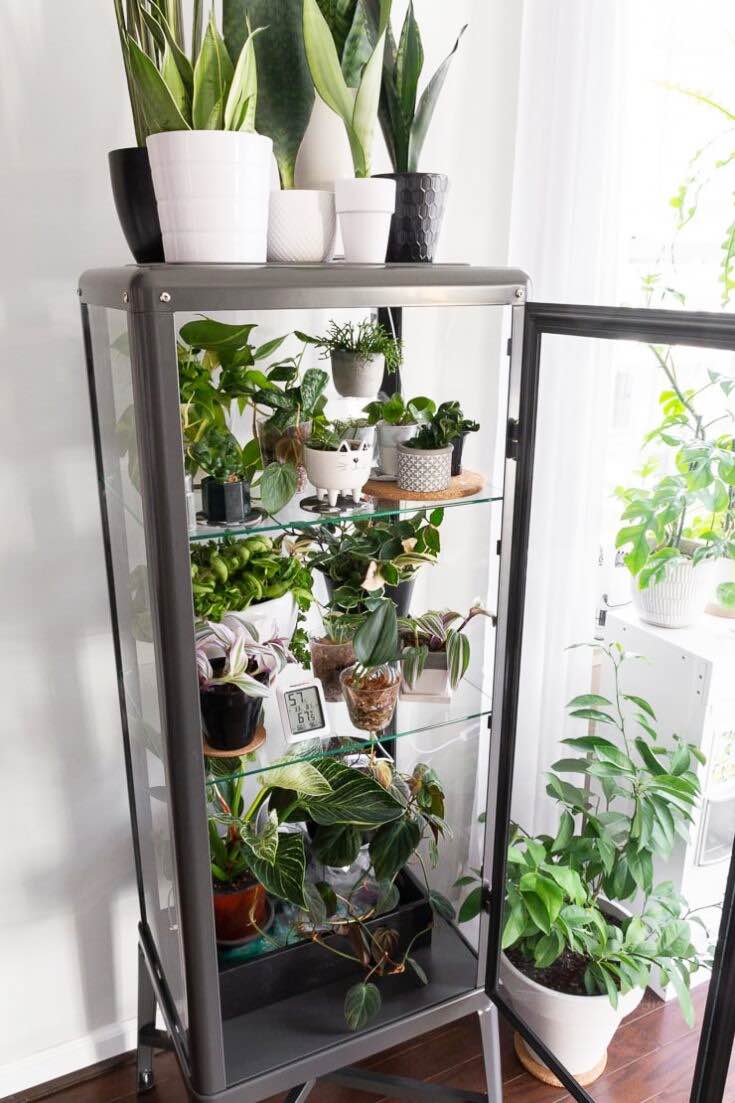 (Nice Straightforward) DIY Indoor Greenhouse Concepts • The Yard Glove